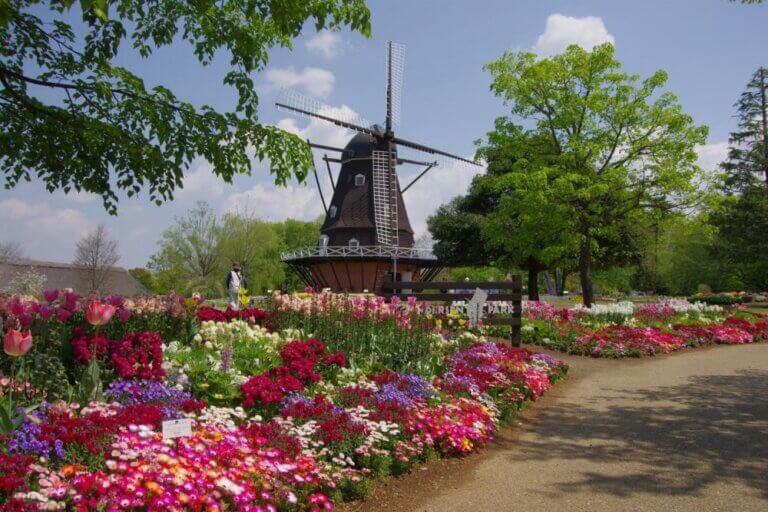 実は穴場！千葉・アンデルセン公園がテーマパーク並みの遊び場だった